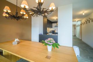 Edelweiss Ferienwohnung, Las Fluras Alpine Penthouse - Flims - 2