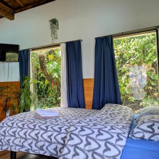 Buena Vista Villa Amami - 4