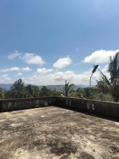 Green House Resort - 8