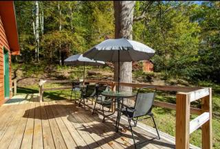 Little Bear Hideaway - 5