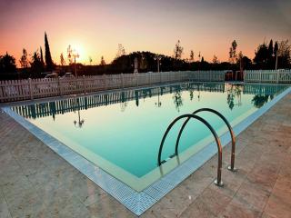 Apartment in Tuscany near Chianti Vineyards - 9