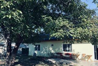Country house in Lozova authentic Moldovan village experience - - 7