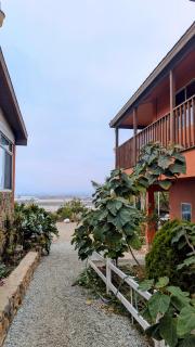 Quinta Los Doctores - Heated pool - Ensenada - 5