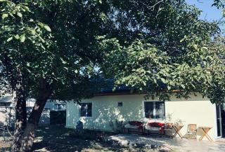 Country house in Lozova authentic Moldovan village experience - - 9