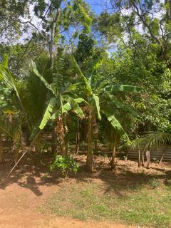 Sam's Inn - Anuradhapura - 5