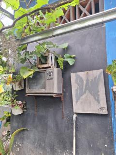 Seoul Homestay - 5
