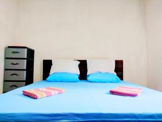 Mango garden villa - 0