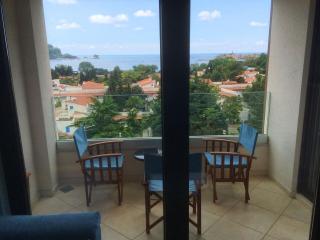 Apartment Obradovic - Budva - 4