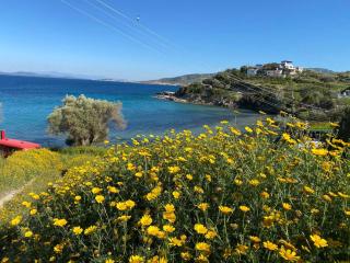 Bungalow-8 in Karaburun Boyabağ Bay - Karaburun - 3