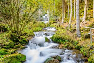 Bergresort Lachtal by ALPS RESORTS - Lachtal - 6