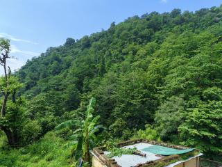 Om Homestay - 6