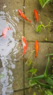 Shire Hotel Heritage Busan Station - 1