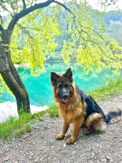 Tenno Lake Sun - 3