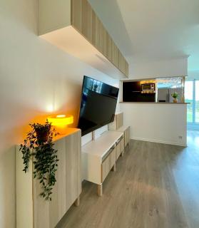 T3 super cosy, parking sécurisé gratuit , grande terrasse balcon , ascenseur - 9