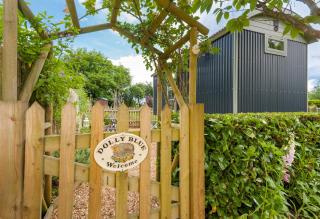 Dolly at Lowlands - Ringwood - 1