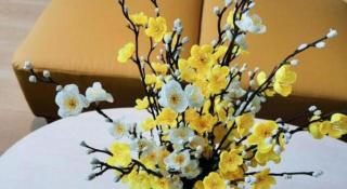 Jinjiang Inn Xuzhou Peixian Hancheng Road - 6