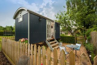 Dolly at Lowlands - Ringwood - 0