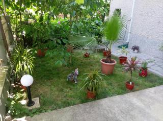 Guest House Krasi - Tschernomorez - 5