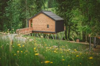 BAUMCHALETS Allgäu - 1