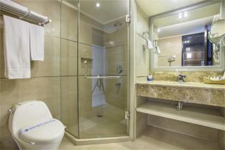 Hotel Agrabad - 3