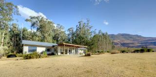 Giantscup Wilderness Reserve - 8
