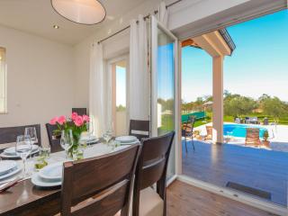 Villa in Policnik with Private Pool - 3
