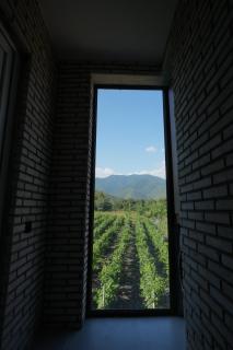 ILIAS Guest House - 1