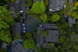 Dixin Longjing - Hangzhou - 5