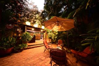 The Bougainvillea - 1