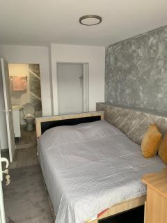 Casa Alexandreea - 8