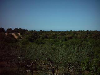 Trullocarluccio - Monopoli - 8