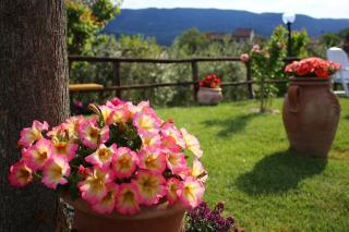 Casa relax e vacanza Il Moraiolo - 7