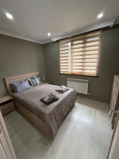 Cozy Apartment in Borjomi - Bordschomi - 6