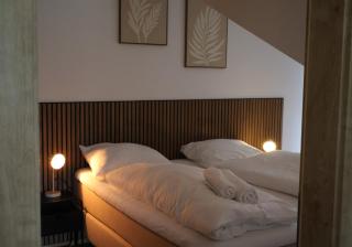 Alpen Experience Apart Hotel - 1