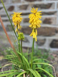 "Nos racines", maison de campagne pour 5 personnes - 5