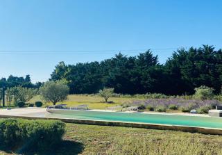 Mas des Branches d'Or - Cavaillon - 2