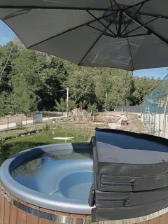 PAMJA Guest House - Bărăşti - 5
