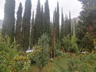 Springfield Resort - 7