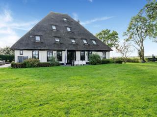 Spacious Holiday home De Pauwenhof - 4