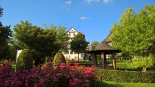 Parkhotel Pyrmont - Bad Pyrmont - 0
