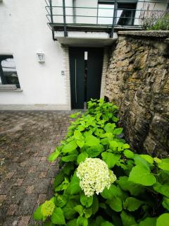 Ferienwohnung Gute Zeit - 8