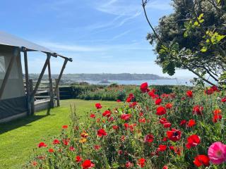 Luxury Glampsite with Sea Views - 9