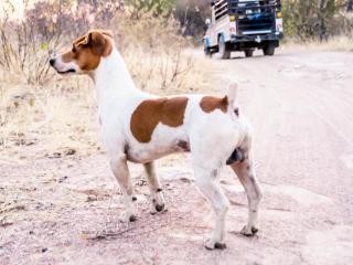 Abenab Lodge & Tours cc - Grootfontein - 9