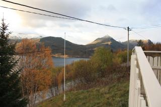 Senja Aurora - 2