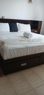 Carol homes - 4