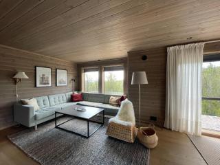 Bjørkebo in Ål - cabin in hiking and skiing area - 9