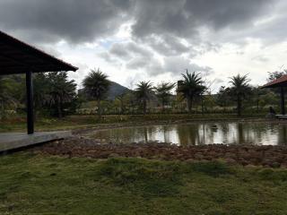 Green Cave - 101 - 4