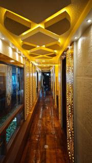 Sharing Back Water - 2