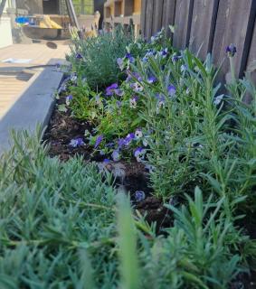 Luxury Mountain Cabin with Hot Tub and Views in Budal - 1