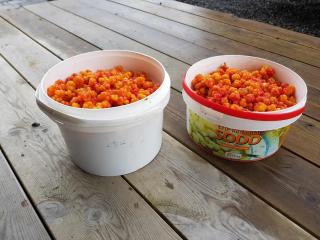 Luxury Mountain Cabin with Hot Tub and Views in Budal - 1